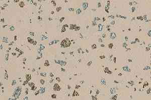 Линолеум Taralay Premium Poesy 2747 Ballade фото  | FLOORDEALER